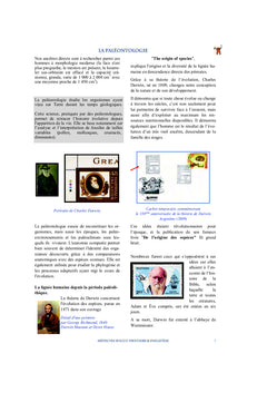 Histoire de la Médecine Bucco-dentaire au Travers de la Philatélie: Volume II
