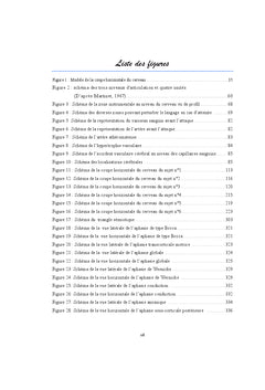 La desintegration phonetique chez des aphasiques en cote d'ivoire