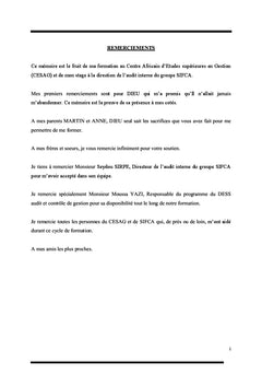 Le diagnostic qualité de la direction de l'audit interne de SIFCA