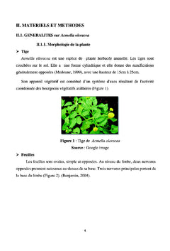 Influences de la variation saisonnière sur la production de semence