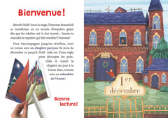 ROMAN ENIGME DE L AVENT - DISPARITION, ENIGMES ET BOULES DE NOEL