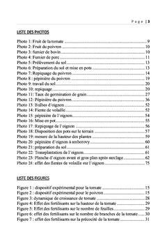 Essais de fertilisation sur les légumes produits à Mahajanga