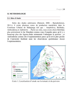 Essais de fertilisation sur les légumes produits à Mahajanga