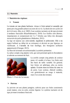 Essais de fertilisation sur les légumes produits à Mahajanga