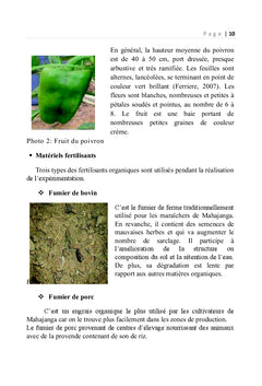 Essais de fertilisation sur les légumes produits à Mahajanga