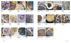 De la plante à la graine