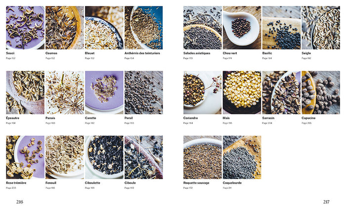 De la plante à la graine