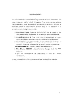 Audit des immobilisations corporelles : Difficultes et alternatives
