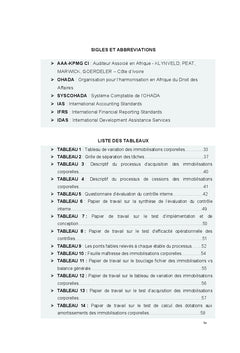 Audit des immobilisations corporelles : Difficultes et alternatives
