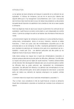 Audit des immobilisations corporelles : Difficultes et alternatives