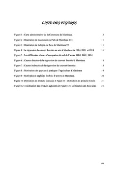 Analyse des moteurs de la déforestation à Mambasa, Ituri en RDC