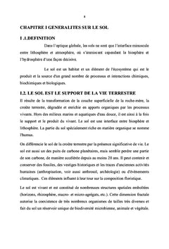 Etude biogéochimique de la production du cuivre