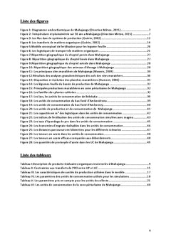 Valorisation des ressources organiques sur le maraîchage de Mahajanga
