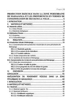 Production rizicole dans la zone periurbaine de Mahajanga