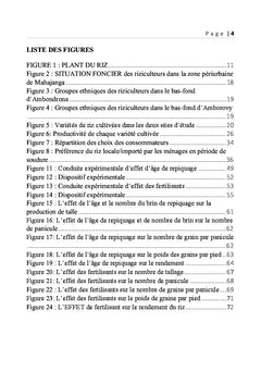 Production rizicole dans la zone periurbaine de Mahajanga