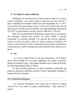 Production rizicole dans la zone periurbaine de Mahajanga
