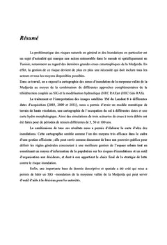 Cartographie de l'evolution hydro-morphologique et des zones a risques