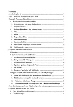 Cartographie de l'evolution hydro-morphologique et des zones a risques