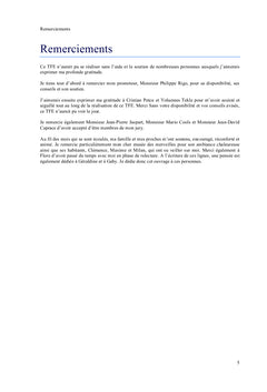 Strategies d'assemblage pour l'industrie eolienne offshore