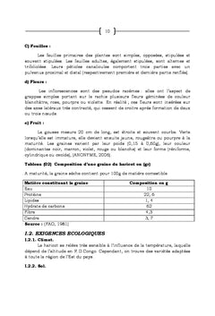 Effets d'extraits du pyrèthre sur les pucerons noirs du haricot commun