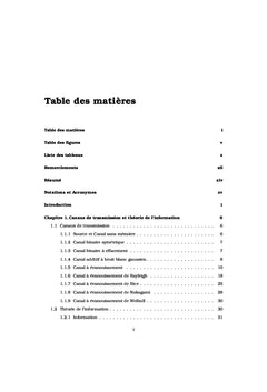 Décodeurs à base des algorithmes génétiques