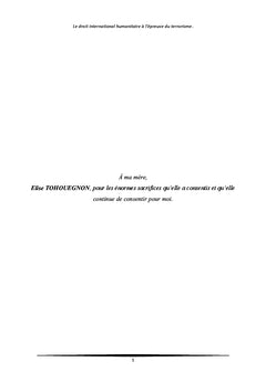 Le droit international humanitaire à l'épreuve du terrorisme