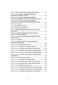 Le figement linguistique dans les productions des apprenants de FLE