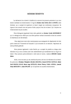 Les paradoxes de la Constitution camerounaise du 18 janvier 1996