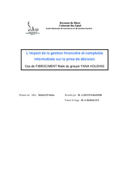 L'impact de l'informatisation comptable sur la prise de décision