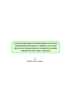 Gestion durabledans les grands projets routiers au Cameroun