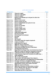 Contribution à l'amélioration des chaussées : remontées des fissures