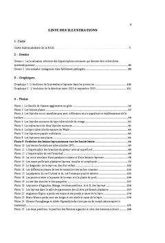 La lutte contre la lèpre en Centrafrique de 1931 à 2008
