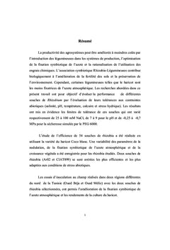 Caractérisation biochimique et moléculaire des rhizobia