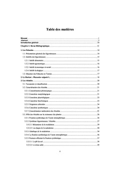 Caractérisation biochimique et moléculaire des rhizobia