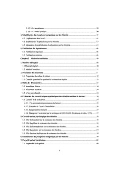 Caractérisation biochimique et moléculaire des rhizobia