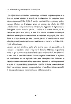 Tumeurs congénitales et malformations de la cavité buccale