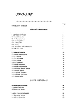La sebkha de Moknine