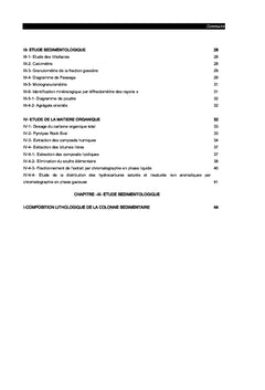 La sebkha de Moknine