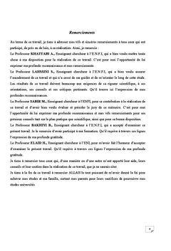 Correction des ravins au niveau du bassin versant de l'Ourika