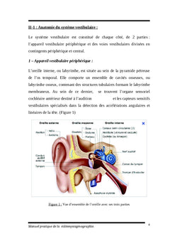 Manuel pratique de la vidéonystagmographie