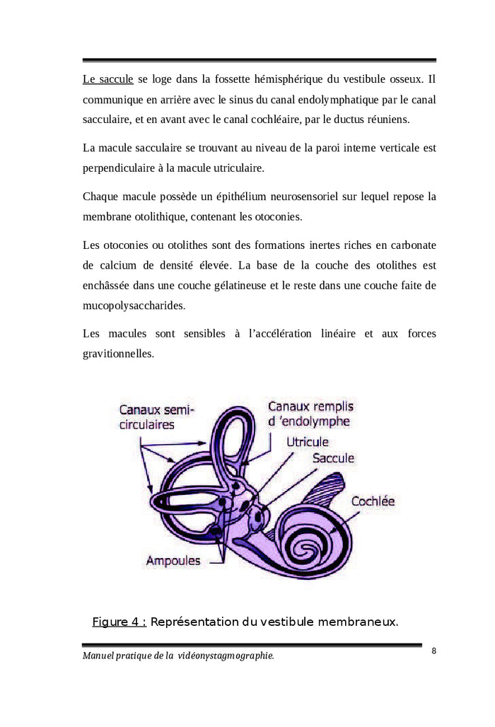 Manuel pratique de la vidéonystagmographie