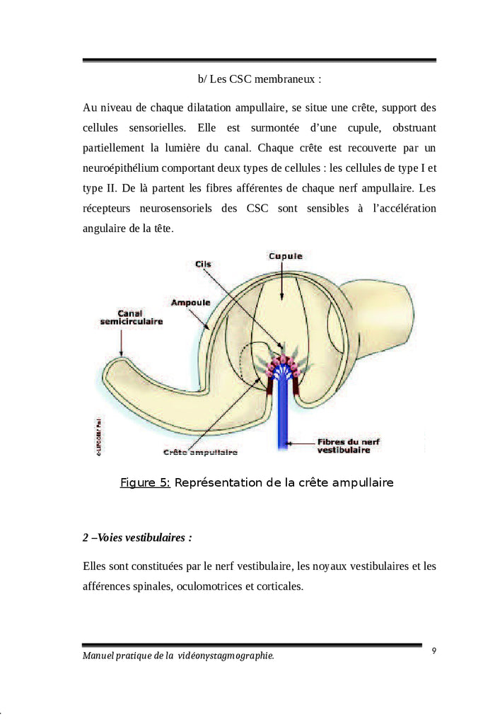 Manuel pratique de la vidéonystagmographie