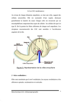 Manuel pratique de la vidéonystagmographie