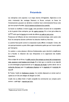 Audit de la régularité et de l'efficacité fiscale