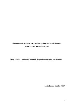 Rapport de stage à l'ONU Haiti/New York