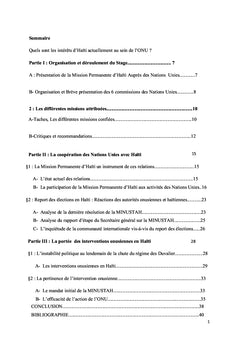 Rapport de stage à l'ONU Haiti/New York