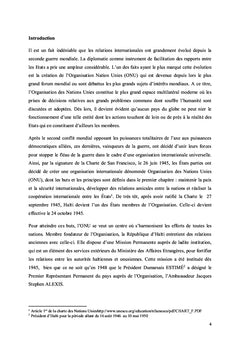 Rapport de stage à l'ONU Haiti/New York