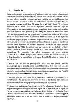 Phytochimie de Pituranthos scoparius Plante A activite antiradicalaire