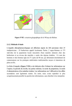 Phytochimie de Pituranthos scoparius Plante A activite antiradicalaire