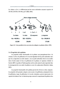 Caractéristiques techno-fonctionnelles de la gélatine bovine